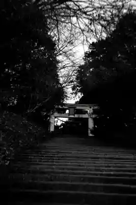 宝登山神社(埼玉県)