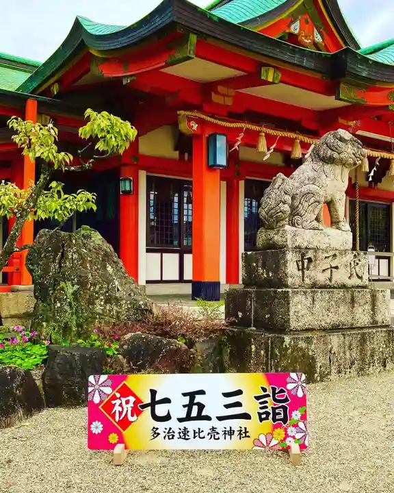多治速比売神社の七五三参