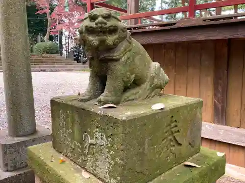 出雲祝神社の狛犬