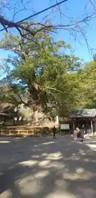 蒲生八幡神社(鹿児島県)