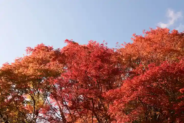 常照寺(京都府)