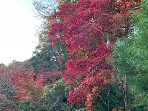 神護寺(京都府)