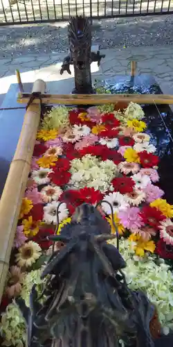 美幌神社の手水