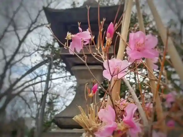 彌彦神社 (伊夜日子神社)の自然