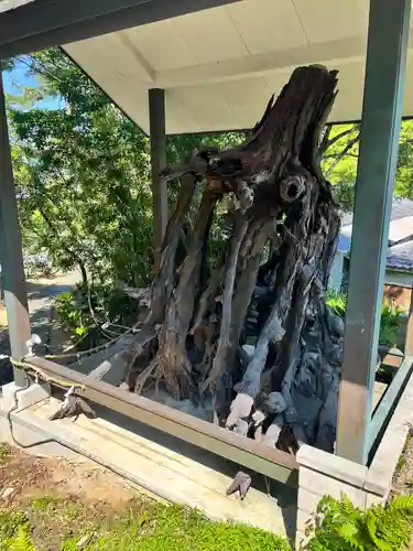 玉津島神社(和歌山県)