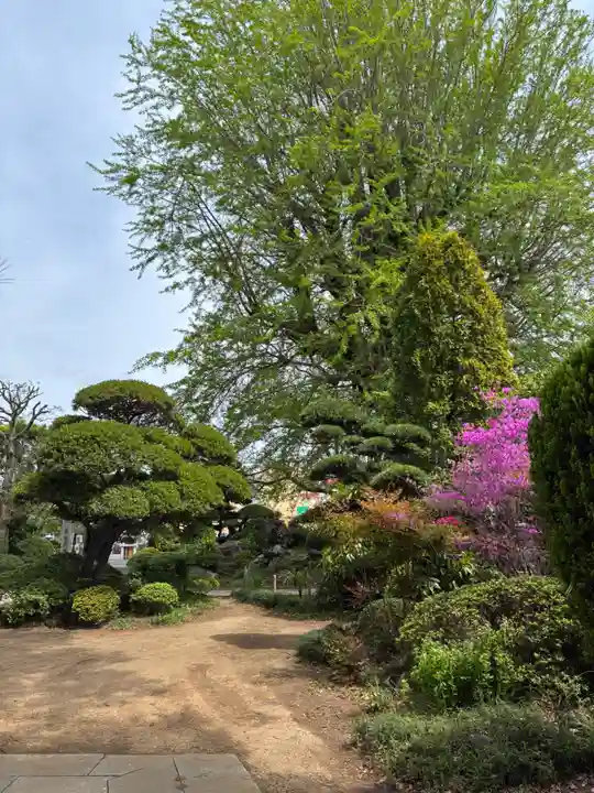 法林寺(千葉県)