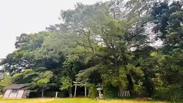 蛭子神社(京都府)