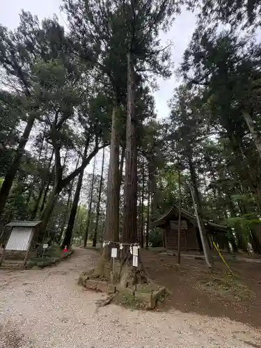 間々田八幡宮の{uncategorized: "未分類", other: "その他", undefined: "問題あり", building: "その他建物", grave: "お墓", sacred_gate: "鳥居", guardian: "狛犬", statue: "像", buddha: "仏像", history: "歴史", nature: "自然", garden: "庭園", animal: "動物", pagoda: "塔", temizu: "手水舎", mountain_gate: "山門・神門", sanctuary: "本殿・本堂", subordinate: "末社・摂社", art: "芸術", scenery: "景色", jizo: "地蔵", ema: "絵馬", goshuin: "御朱印", omikuji: "おみくじ", items: "授与品その他", amulet: "お守り", goshuincho: "御朱印帳", eats: "食事", festival: "お祭り", votive_dance: "神楽", shichigosan: "七五三参", wedding: "結婚式", experience: "体験その他", initially: "初詣", around: "周辺", anti_infection: "感染症対策"}