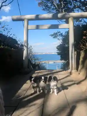 酒列磯前神社の{uncategorized: "未分類", other: "その他", undefined: "問題あり", building: "その他建物", grave: "お墓", sacred_gate: "鳥居", guardian: "狛犬", statue: "像", buddha: "仏像", history: "歴史", nature: "自然", garden: "庭園", animal: "動物", pagoda: "塔", temizu: "手水舎", mountain_gate: "山門・神門", sanctuary: "本殿・本堂", subordinate: "末社・摂社", art: "芸術", scenery: "景色", jizo: "地蔵", ema: "絵馬", goshuin: "御朱印", omikuji: "おみくじ", items: "授与品その他", amulet: "お守り", goshuincho: "御朱印帳", eats: "食事", festival: "お祭り", votive_dance: "神楽", shichigosan: "七五三参", wedding: "結婚式", experience: "体験その他", initially: "初詣", around: "周辺", anti_infection: "感染症対策"}