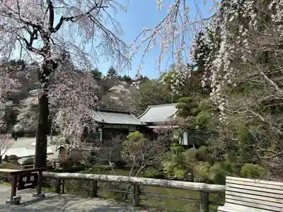 宝登山神社(埼玉県)