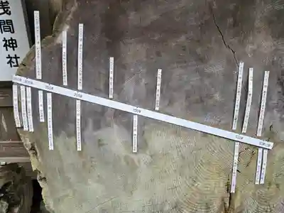 須山浅間神社(静岡県)