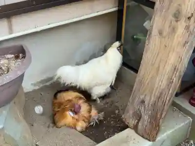 観音寺(神奈川県)