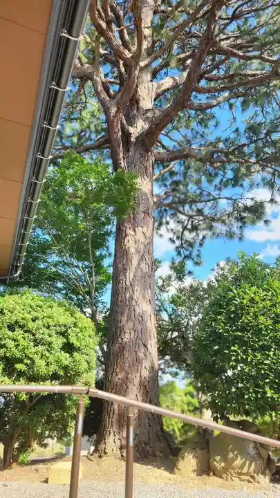 安楽寺(福島県)