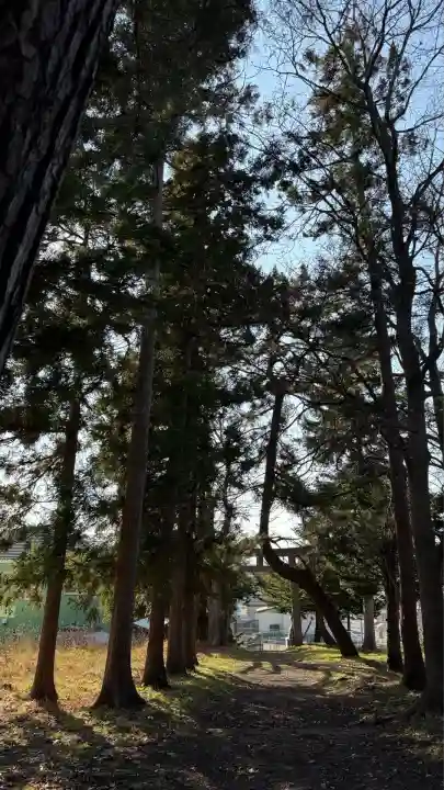 神山稲荷神社(北海道)