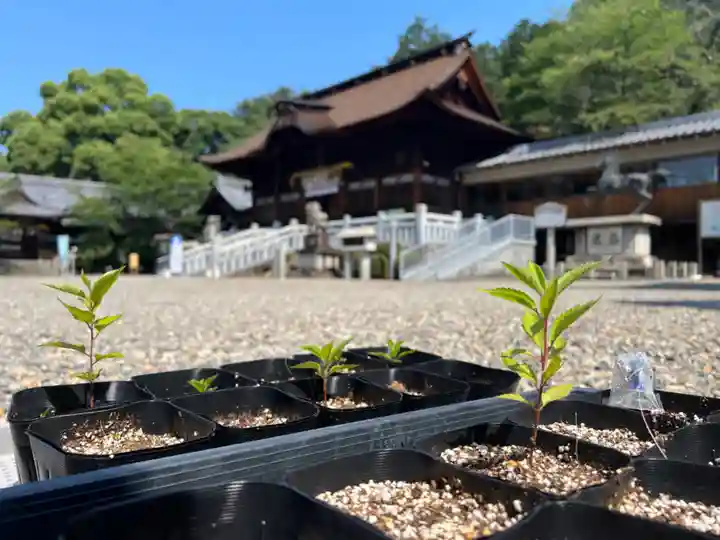 手力雄神社(岐阜県)