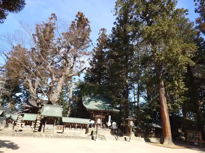 穂高神社本宮(長野県)