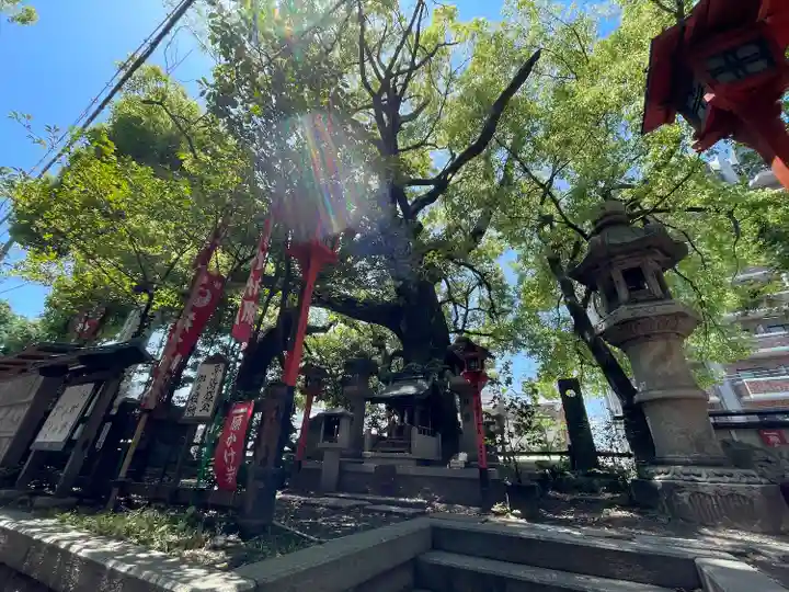 若一神社(京都府)