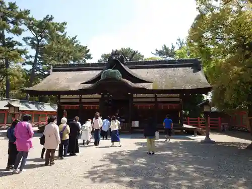 住吉大社の本殿