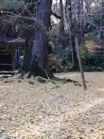 廣徳寺の自然