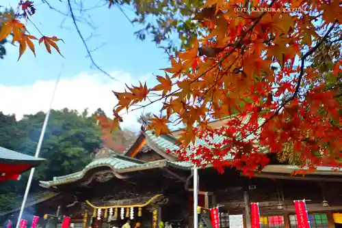 高尾山薬王院(東京都)