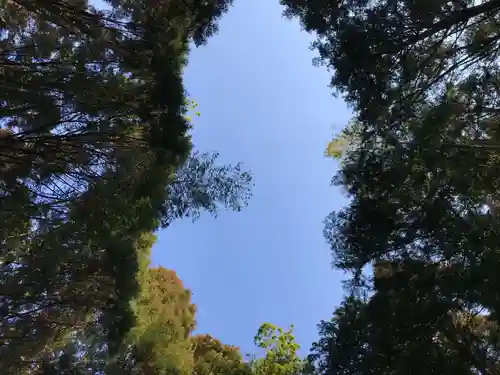 熊野神社の自然