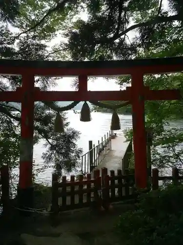 箱根神社の鳥居