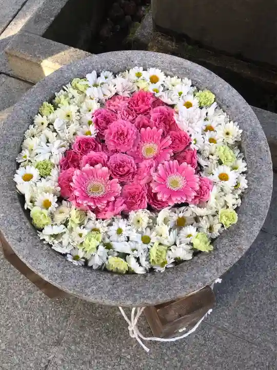 美濃國一宮 南宮大社の手水舎