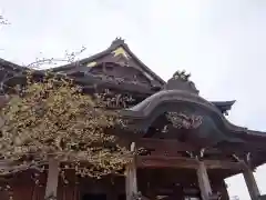 善光寺東海別院（祖父江善光寺）(愛知県)