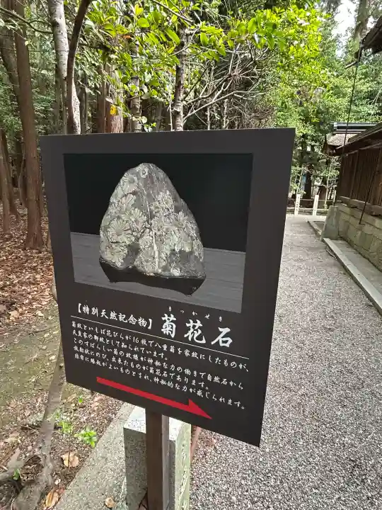 建部大社の{uncategorized: "未分類", other: "その他", undefined: "問題あり", building: "その他建物", grave: "お墓", sacred_gate: "鳥居", guardian: "狛犬", statue: "像", buddha: "仏像", history: "歴史", nature: "自然", garden: "庭園", animal: "動物", pagoda: "塔", temizu: "手水舎", mountain_gate: "山門・神門", sanctuary: "本殿・本堂", subordinate: "末社・摂社", art: "芸術", scenery: "景色", jizo: "地蔵", ema: "絵馬", goshuin: "御朱印", omikuji: "おみくじ", items: "授与品その他", amulet: "お守り", goshuincho: "御朱印帳", eats: "食事", festival: "お祭り", votive_dance: "神楽", shichigosan: "七五三参", wedding: "結婚式", experience: "体験その他", initially: "初詣", around: "周辺", anti_infection: "感染症対策"}