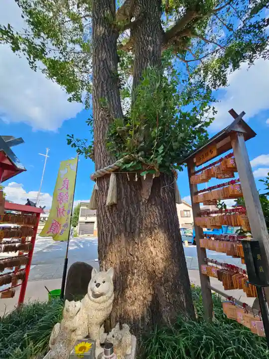 川越八幡宮(埼玉県)