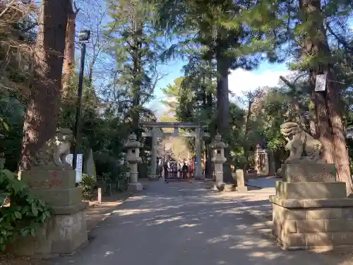 岩槻久伊豆神社(埼玉県)