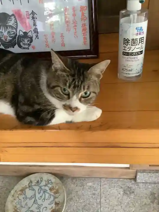 玉野御嶽神社の動物