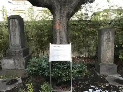 祐天寺(東京都)