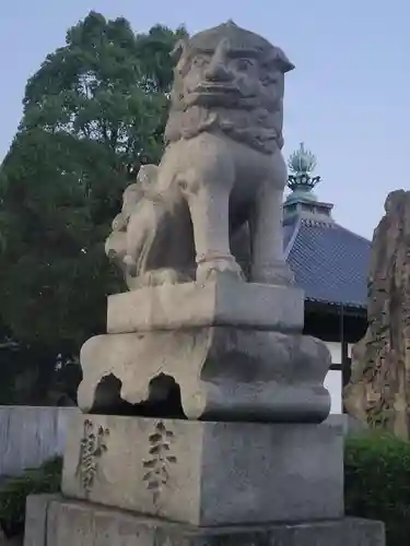 別宮大山祇神社の狛犬