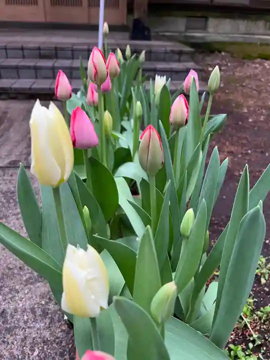 大宮温泉神社の自然