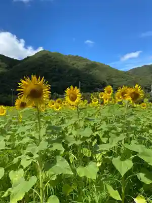 天神社(岡山県)