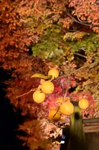 善水寺(滋賀県)