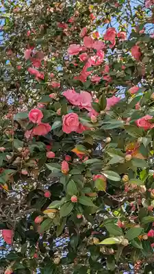 霊鑑寺門跡(京都府)