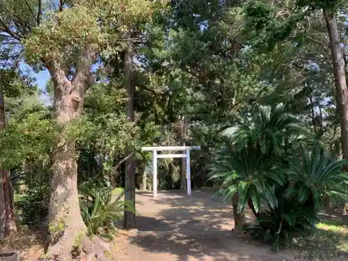 嚴嶋神社の鳥居