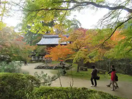 西明寺のその他建物