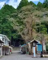 秋葉山本宮 秋葉神社 下社の周辺