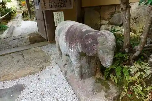 野仏庵の狛犬