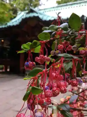 赤坂氷川神社(東京都)
