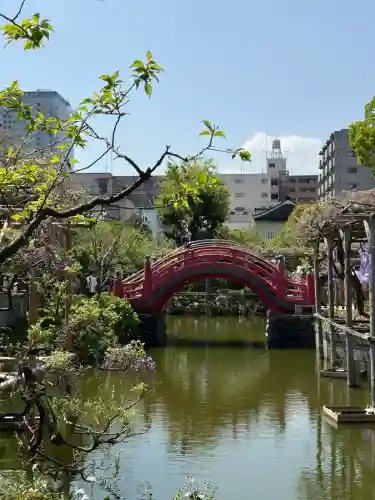 亀戸天神社(東京都)