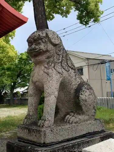 金岡神社の狛犬