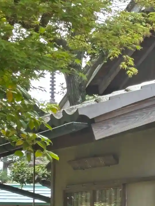 常徳寺(兵庫県)