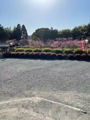 隨心院(随心院)(京都府)