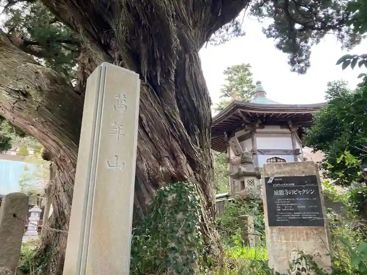 城願寺(神奈川県)
