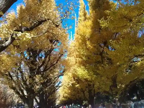 青山熊野神社(東京都)