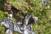 大六天麻王神社の鳥居